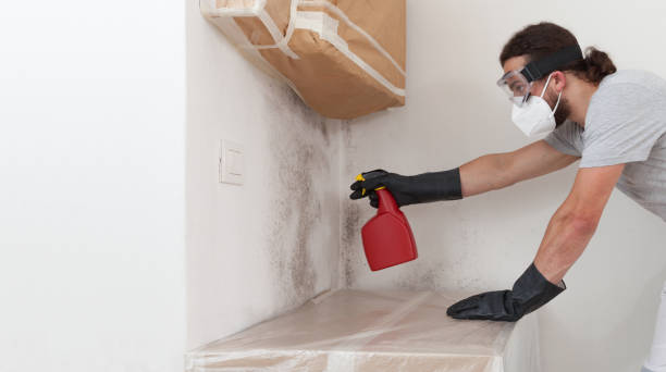 Professional Hvac And Air Duct Mold Remediation technician working in Cedarville, MI